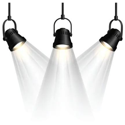 Spotlight on